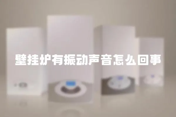 壁掛爐有振動聲音怎么回事