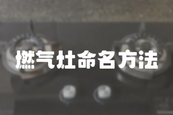 燃?xì)庠蠲椒?></a></div>
                    <div   id=