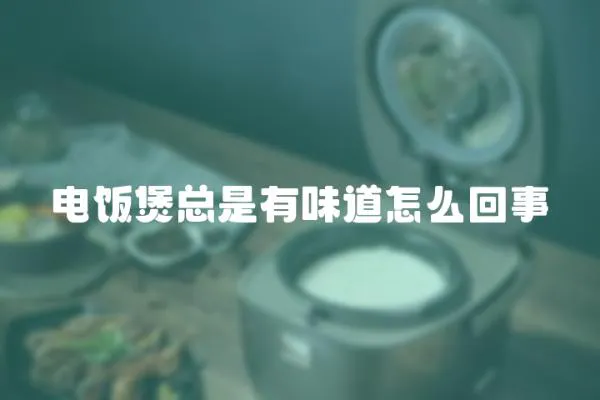 電飯煲總是有味道怎么回事
