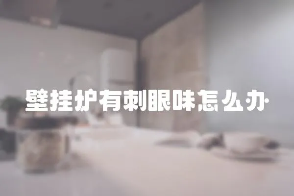 壁掛爐有刺眼味怎么辦