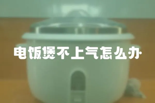 電飯煲不上氣怎么辦