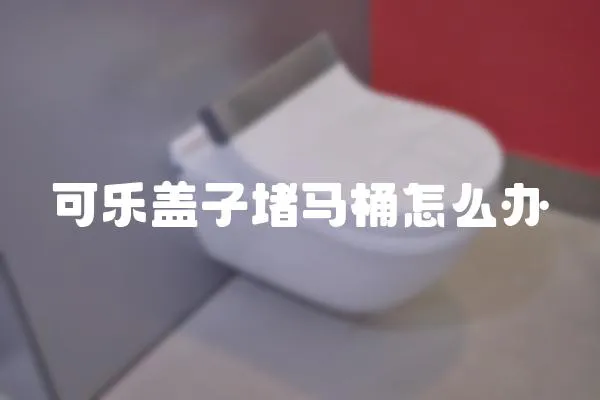 可樂蓋子堵馬桶怎么辦
