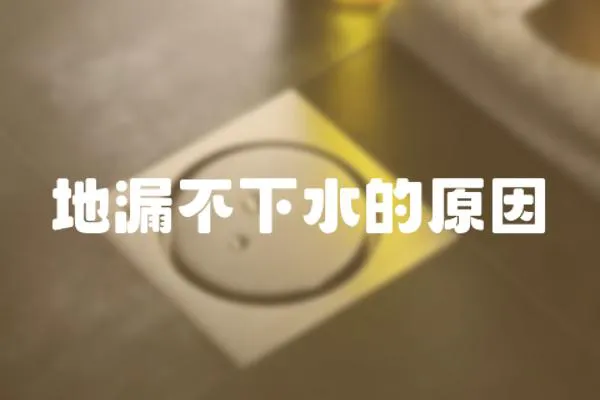地漏不下水的原因