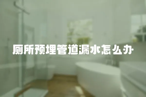 廁所預(yù)埋管道漏水怎么辦