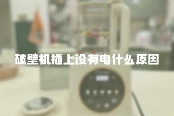 破壁機插上沒有電什么原因