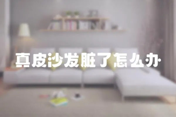 真皮沙發臟了怎么辦