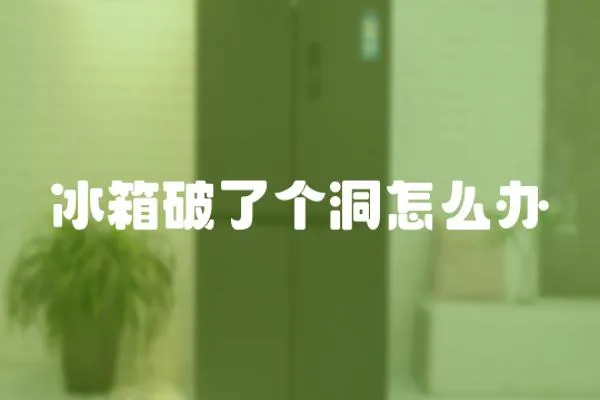 冰箱破了個洞怎么辦