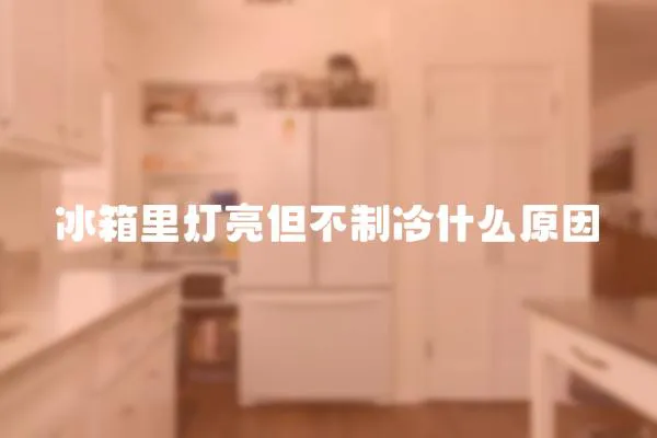 冰箱里燈亮但不制冷什么原因