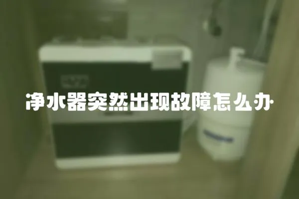 净水器突然出现故障怎么办