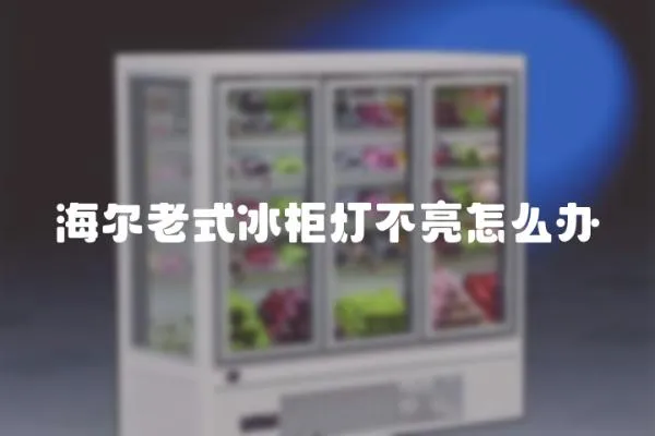 海爾老式冰柜燈不亮怎么辦