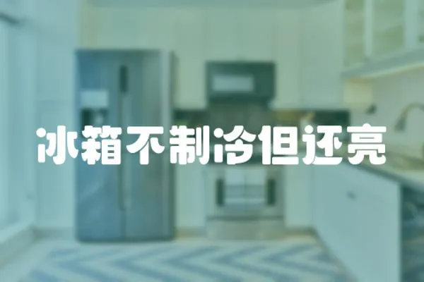 冰箱不制冷但還亮