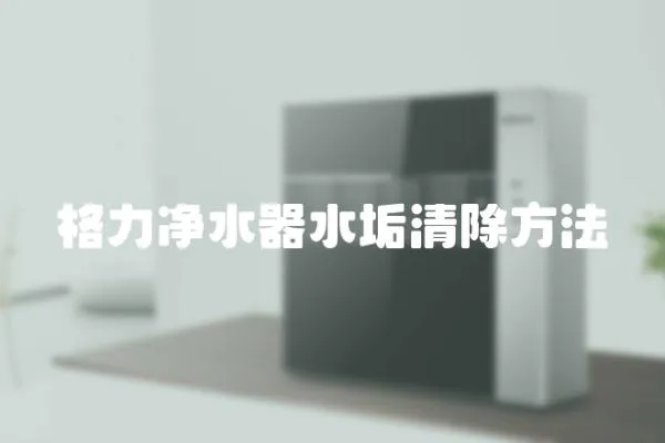 格力凈水器水垢清除方法