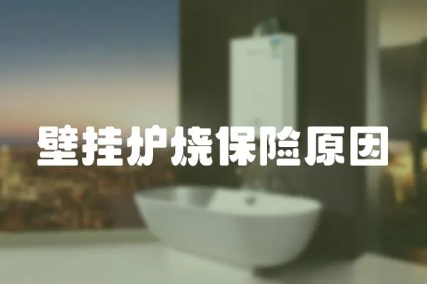 壁掛爐燒保險原因