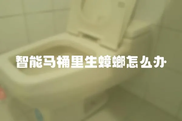 智能馬桶里生蟑螂怎么辦