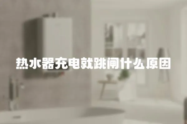 熱水器充電就跳閘什么原因