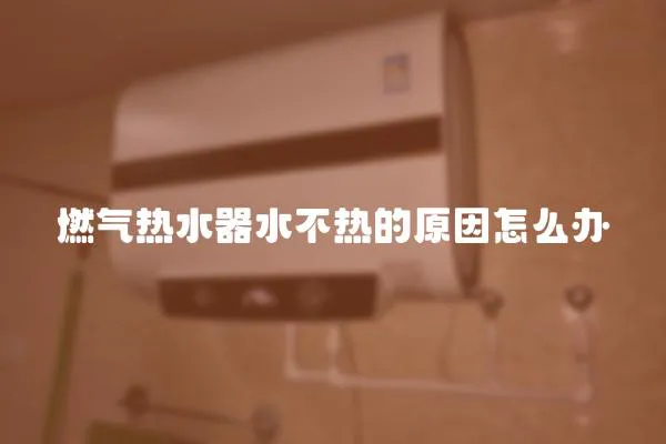 燃氣熱水器水不熱的原因怎么辦