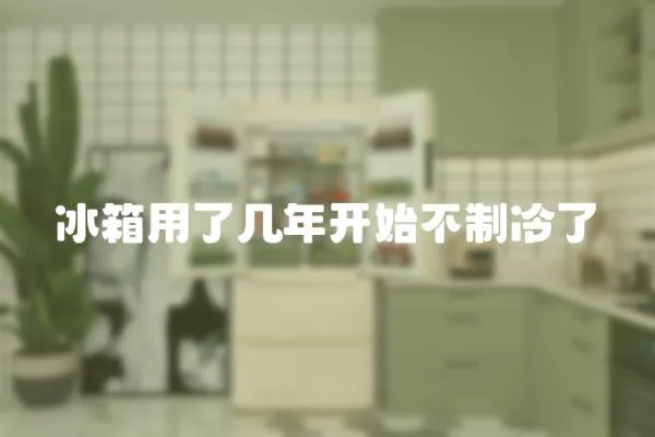 冰箱用了幾年開始不制冷了