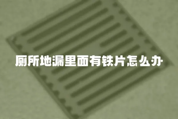 廁所地漏里面有鐵片怎么辦