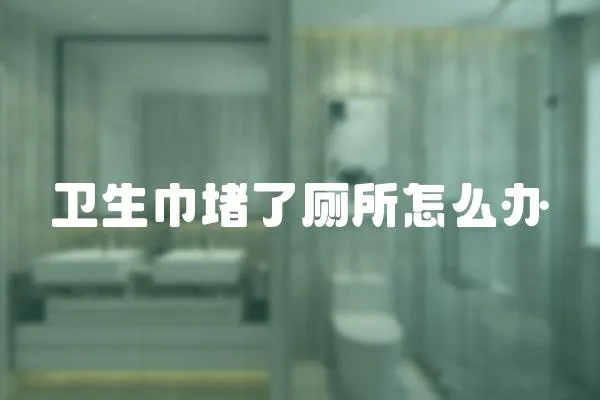 衛生巾堵了廁所怎么辦