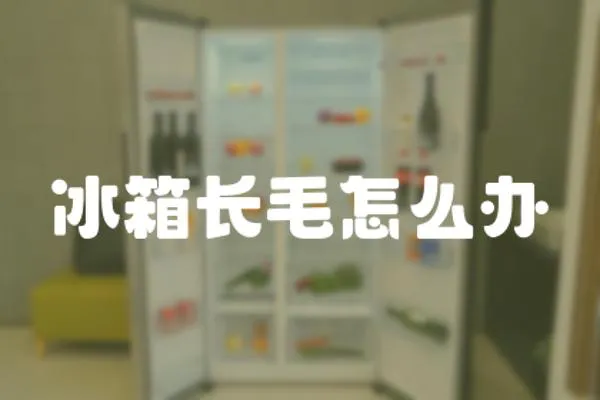 冰箱長毛怎么辦