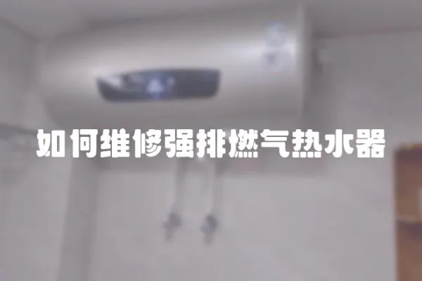 如何維修強(qiáng)排燃?xì)鉄崴?></a></div>
                    <div   id=