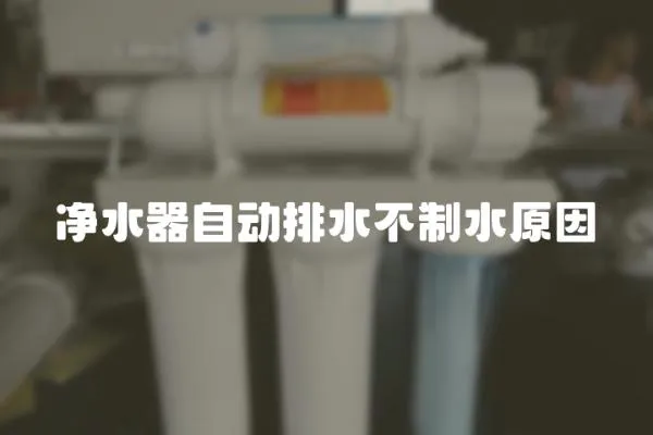 凈水器自動排水不制水原因