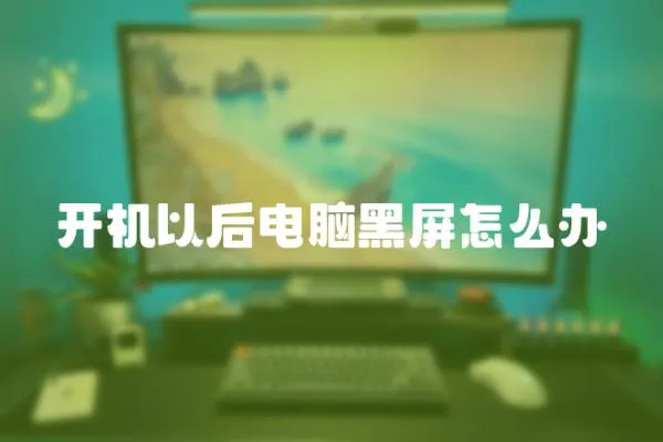 開機以后電腦黑屏怎么辦
