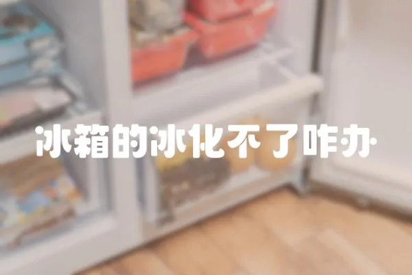 冰箱的冰化不了咋辦
