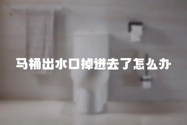 馬桶出水口掉進(jìn)去了怎么辦
