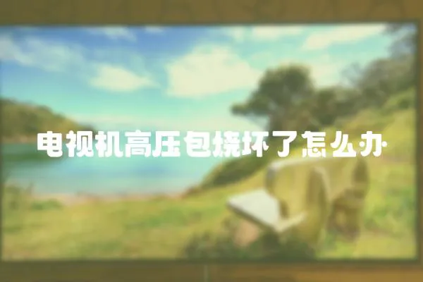 電視機高壓包燒壞了怎么辦