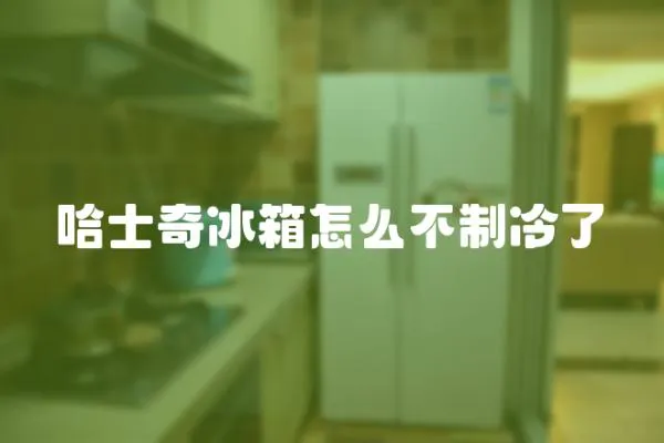 哈士奇冰箱怎么不制冷了