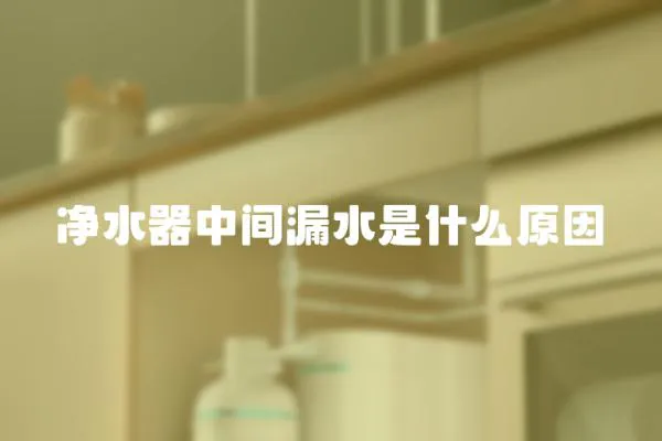 凈水器中間漏水是什么原因