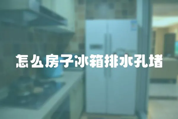 怎么房子冰箱排水孔堵