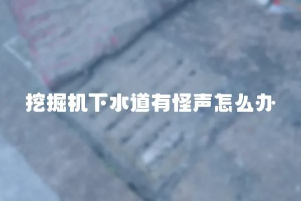 挖掘機下水道有怪聲怎么辦