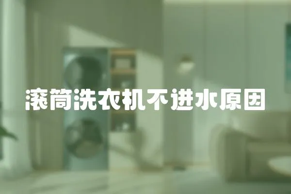 滾筒洗衣機不進水原因