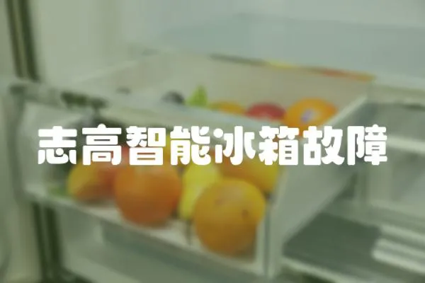 志高智能冰箱故障