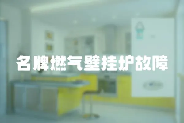 名牌燃?xì)獗趻鞝t故障