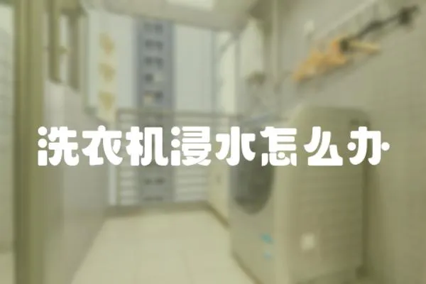 洗衣機浸水怎么辦