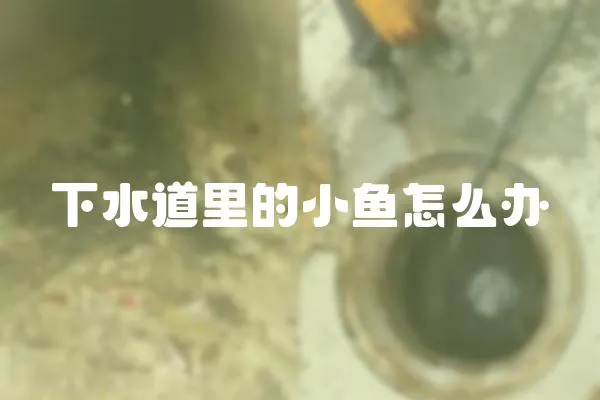 下水道里的小魚怎么辦