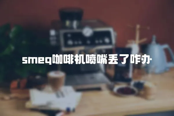 smeg咖啡机喷嘴丢了咋办