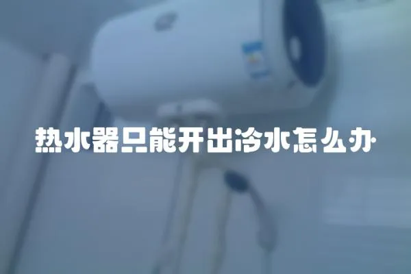 熱水器只能開出冷水怎么辦