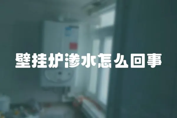 壁掛爐滲水怎么回事