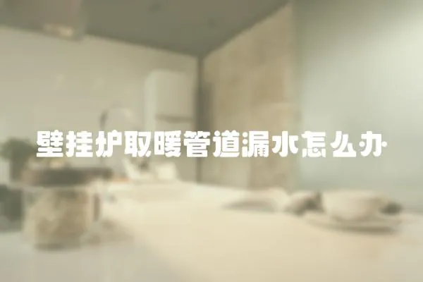 壁掛爐取暖管道漏水怎么辦