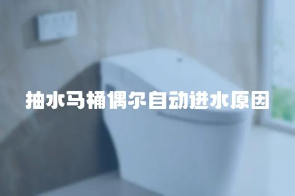 抽水馬桶偶爾自動進水原因