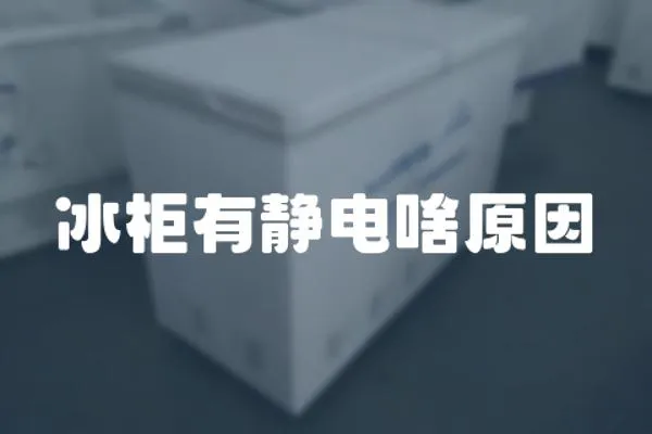 冰柜有靜電啥原因