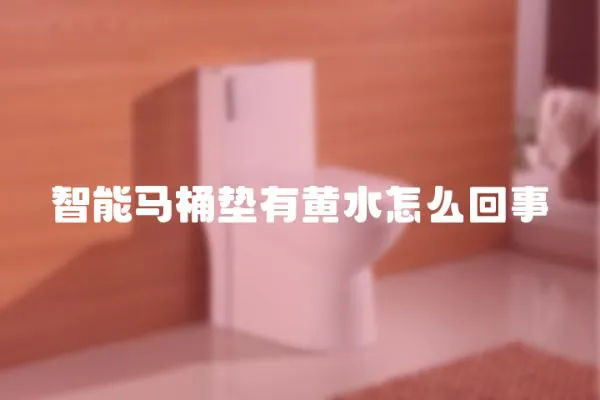 智能馬桶墊有黃水怎么回事