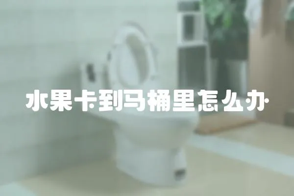 水果卡到馬桶里怎么辦