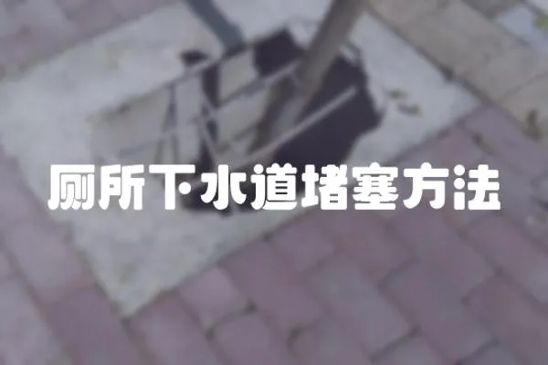 廁所下水道堵塞方法