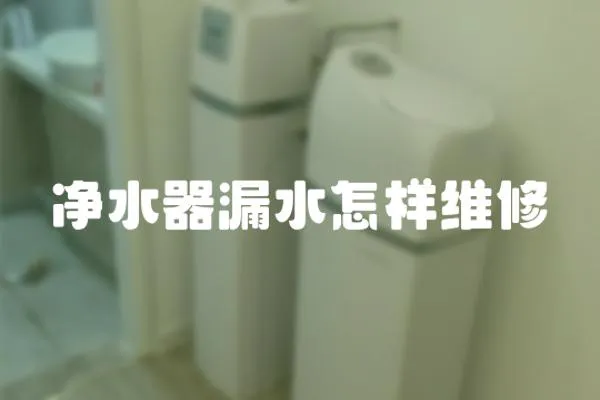 凈水器漏水怎樣維修