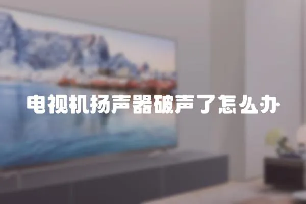 電視機(jī)揚(yáng)聲器破聲了怎么辦